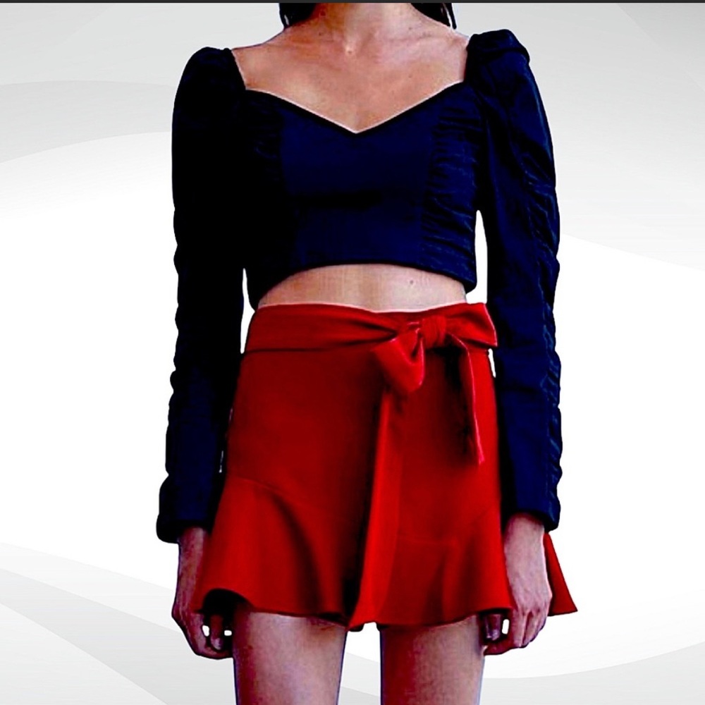 Zara high waisted skirt/skort